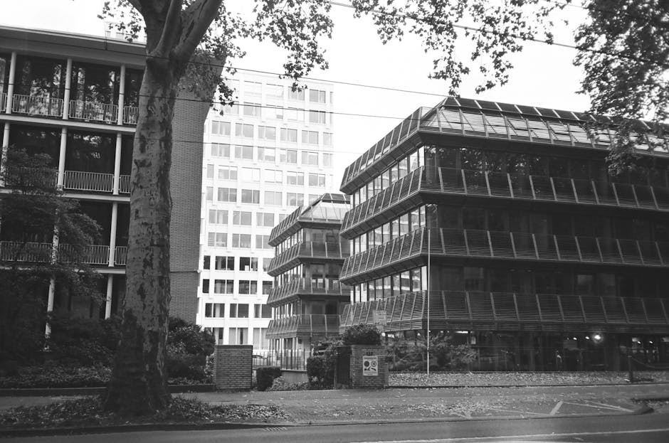 Договор займа под залог недвижимости