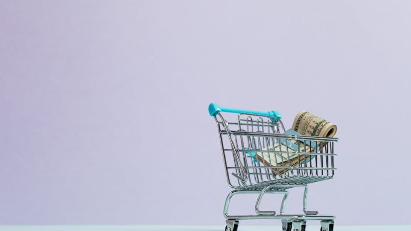 Частный займ под залог недвижимости от физического лица