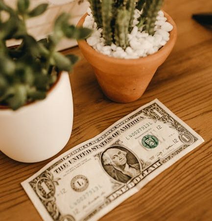 Займы под залог недвижимости преимущества и риски