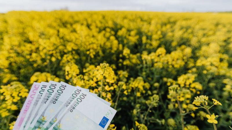 Займы под залог недвижимости